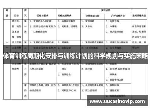 体育训练周期化安排与训练计划的科学规划与实施策略